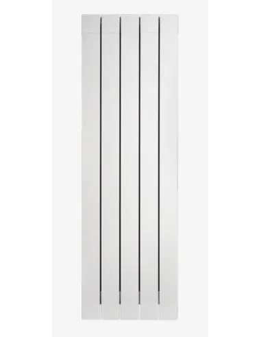 Radiator Fondital Garda Dual 2000 Aleternum